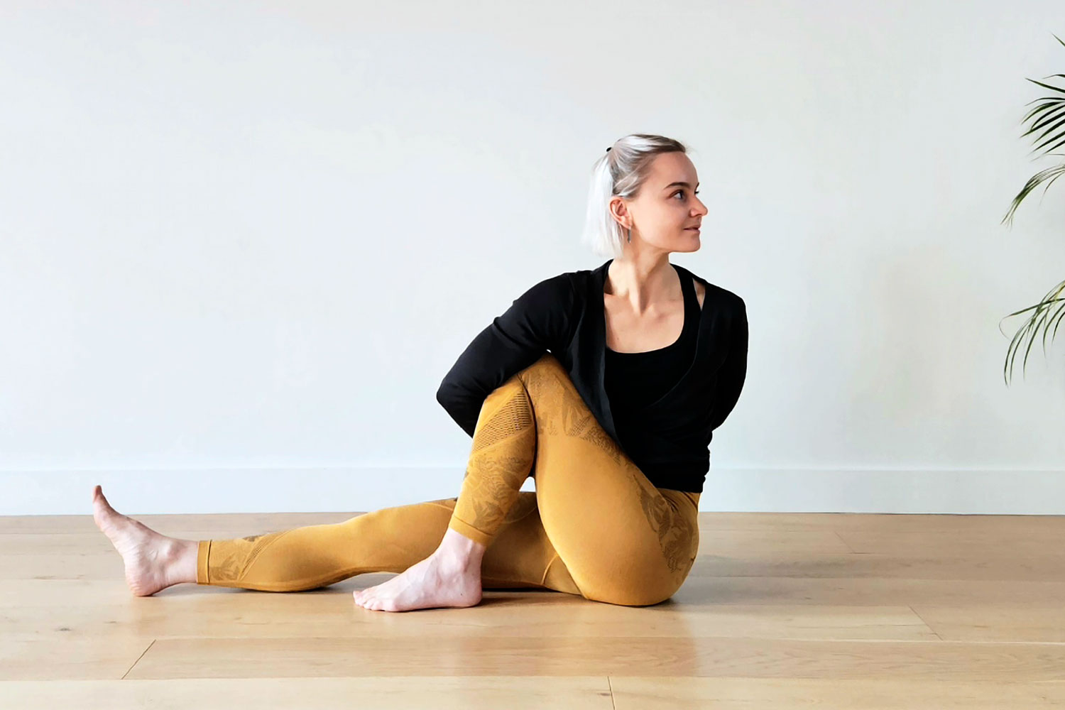 Amélie Greiner Asana