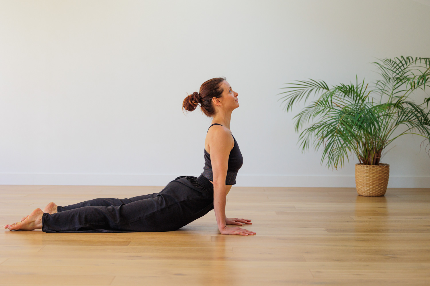 Meryl Combettes Asana